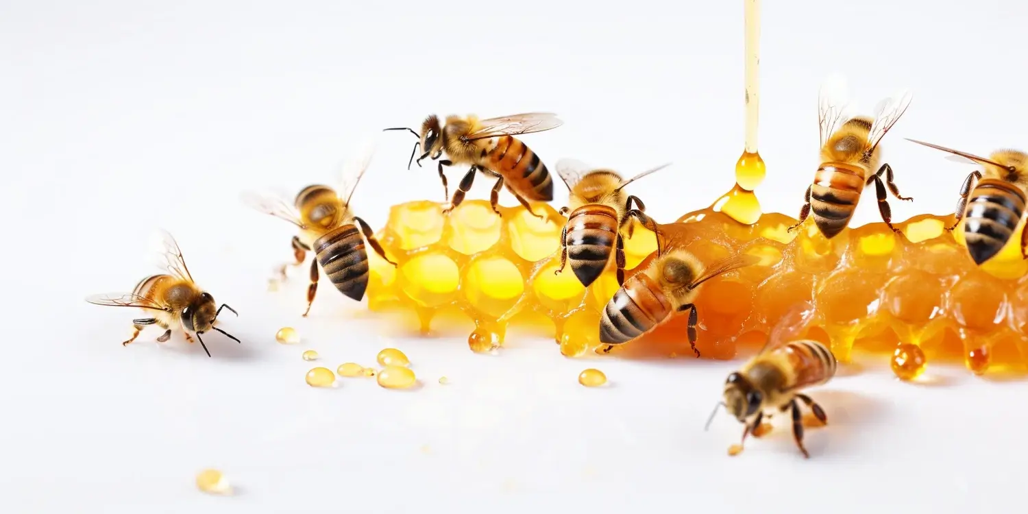 Miód akacjowy jak spożywać?